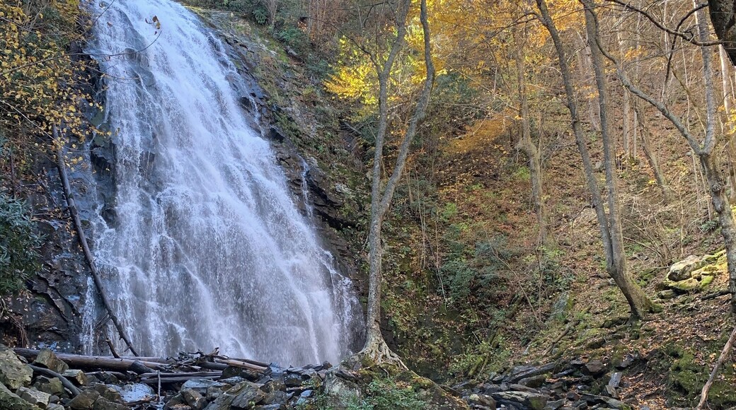 Short hike, awesome waterfall but the walk out gets people.