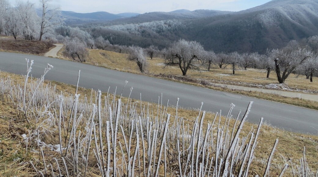 The Blue Ridge Parkway at The Orchards at Altapass. Beautiful all year long.