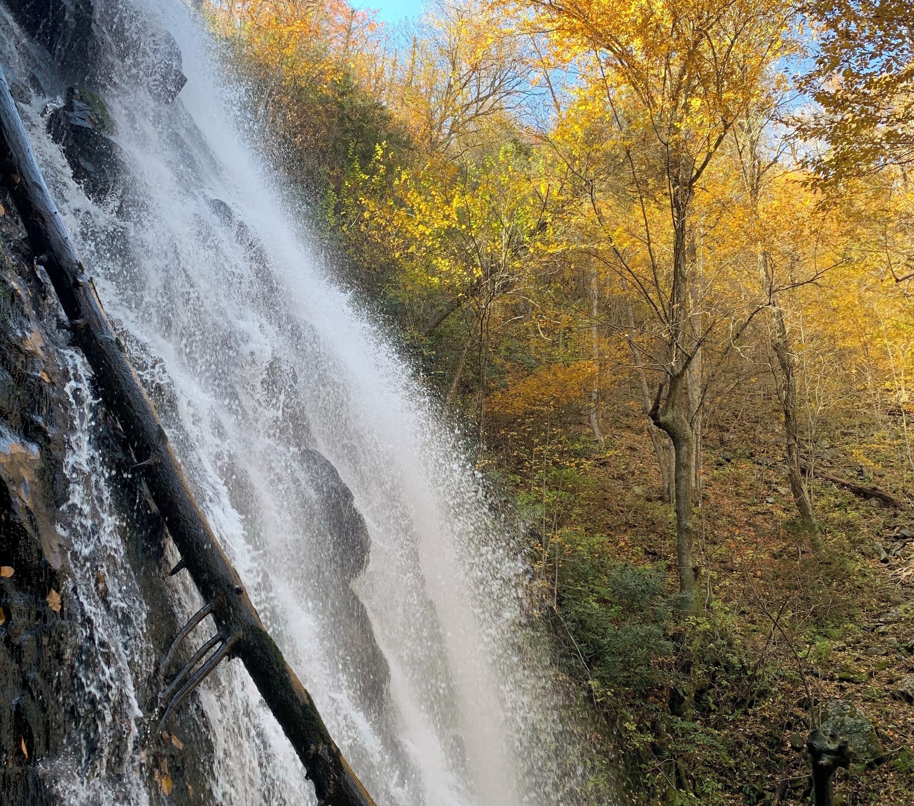 Pretty amazing little falls