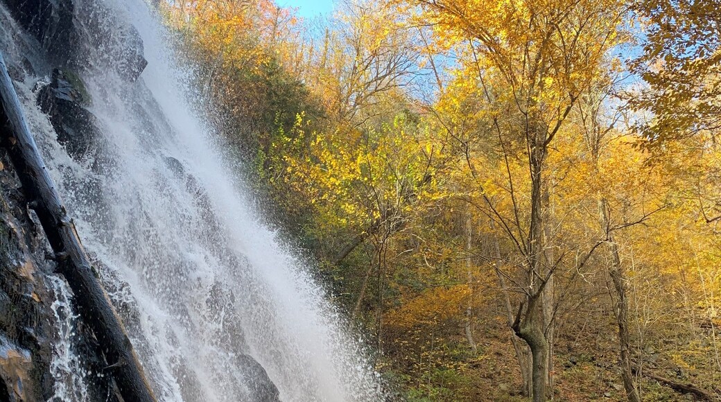 Pretty amazing little falls