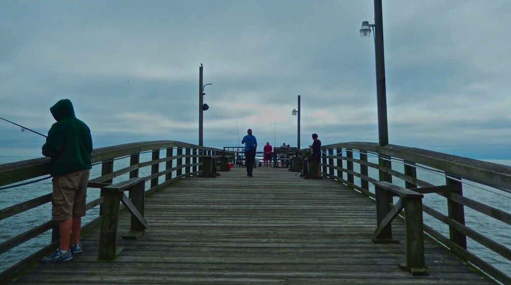 Lots of fisherman along the pier on this overcast October day.