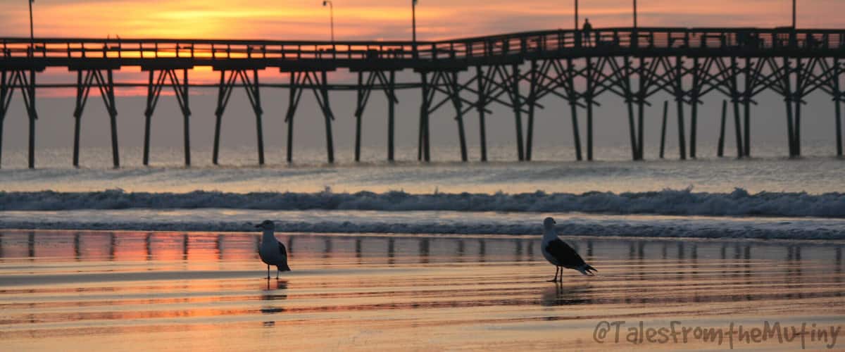 A beautiful #beach to catch the sunrise.