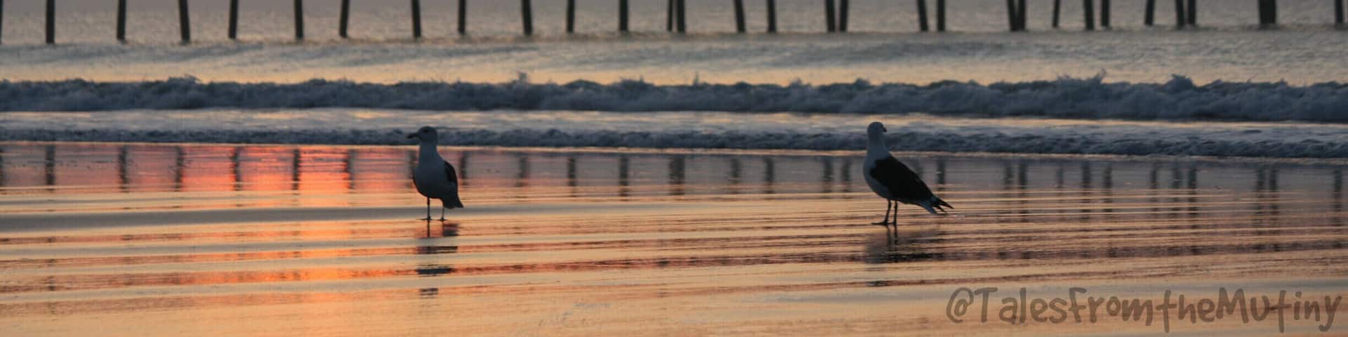 A beautiful #beach to catch the sunrise.