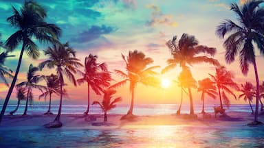 Palm Trees Silhouettes On Tropical Beach At Sunset - Modern Vintage Colors