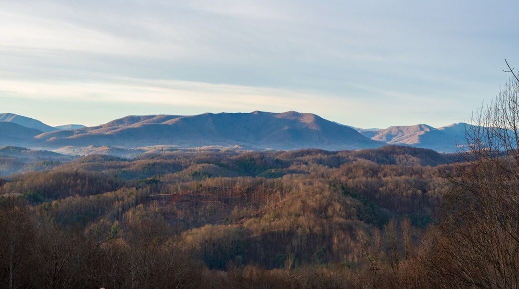 Blue Mountain View of the landscape Wide angle with blueish tones