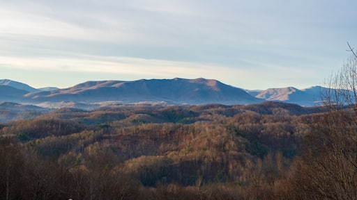 ์จ์คํธ์ ํผ์จ