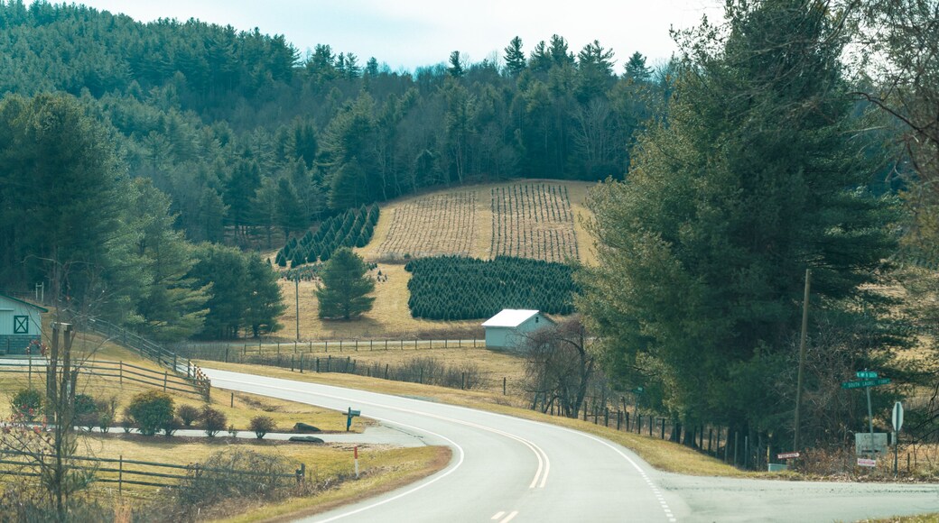 Road through West Jefferson NC