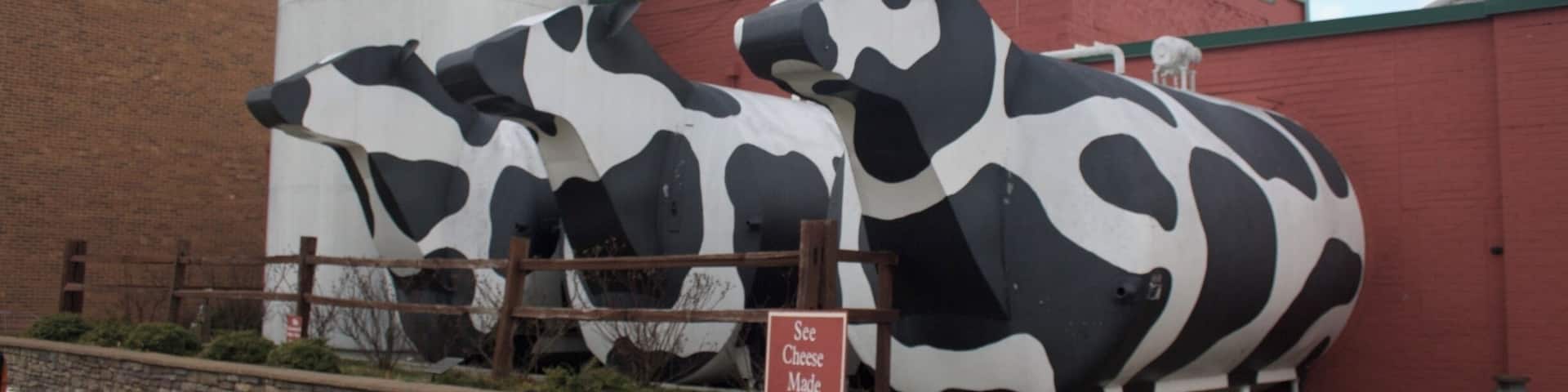 Local business is a huge part of the Appalachia economy. In Ashe County, and surrounding areas, Ashe County Cheese is a big hit. It provides employment. These cows were built and installed by the local high school welding class. #appalachianechoes