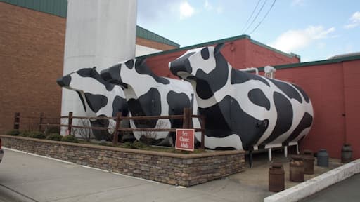 Local business is a huge part of the Appalachia economy. In Ashe County, and surrounding areas, Ashe County Cheese is a big hit. It provides employment. These cows were built and installed by the local high school welding class. #appalachianechoes