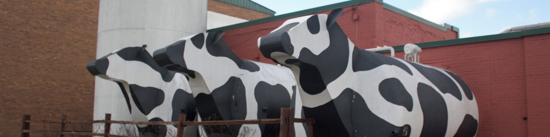 Local business is a huge part of the Appalachia economy. In Ashe County, and surrounding areas, Ashe County Cheese is a big hit. It provides employment. These cows were built and installed by the local high school welding class. #appalachianechoes