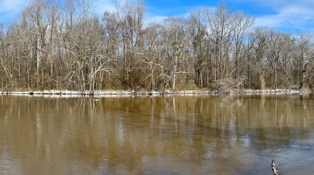 Winterville