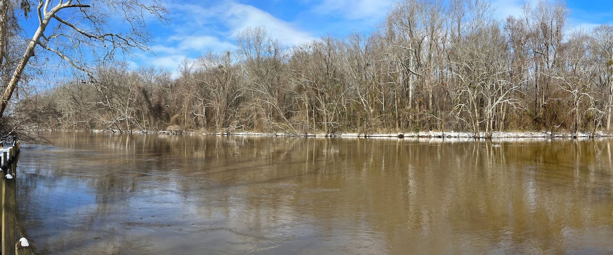 A river with a forested bank and a clear sky.