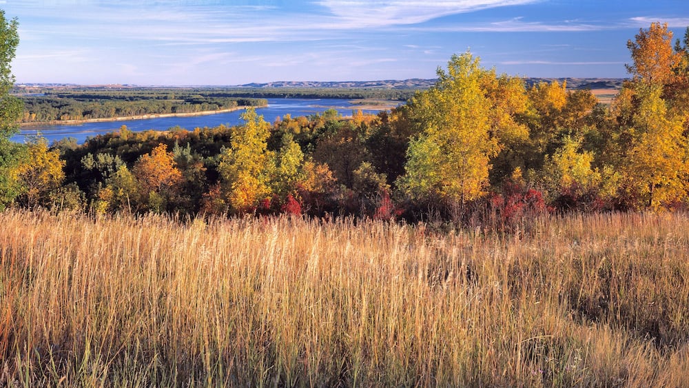A river, autumn trees, and a grassy field.