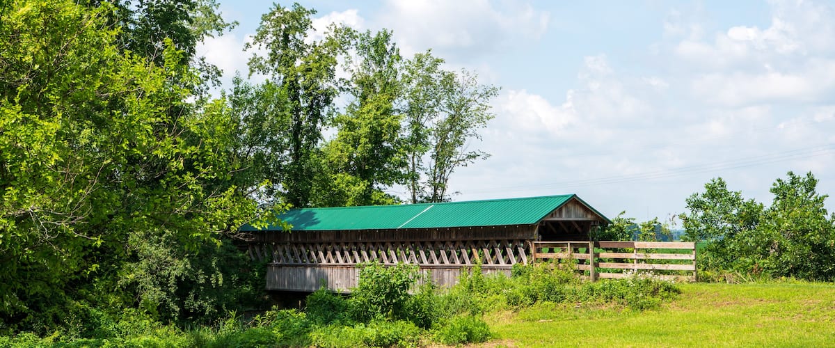 A wooden barn with a green roof surrounded by lush greenery and trees.