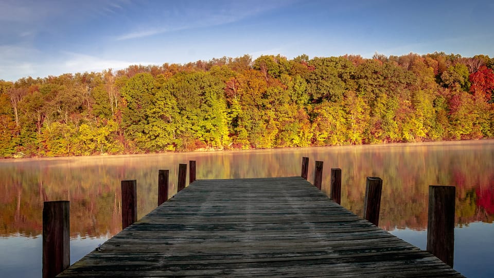 Dock in autumn