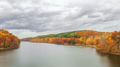 Ein Fluss, der von herbstlich gefärbten Bäumen gesäumt wird, unter einem bewölkten Himmel.