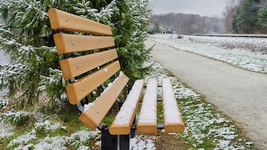 Bench in the Snow in Canton, Ohio