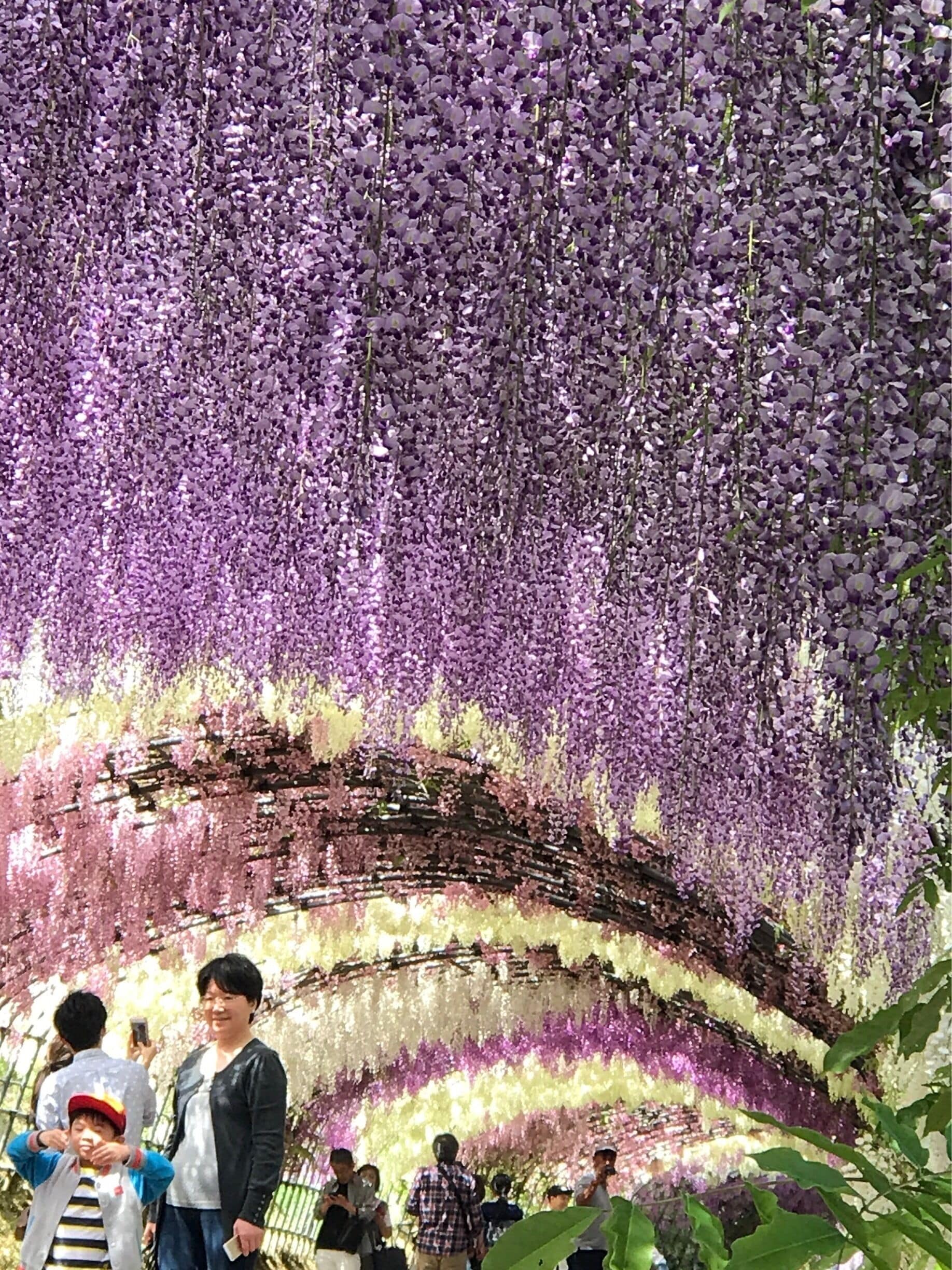 U have to see it to believe it!