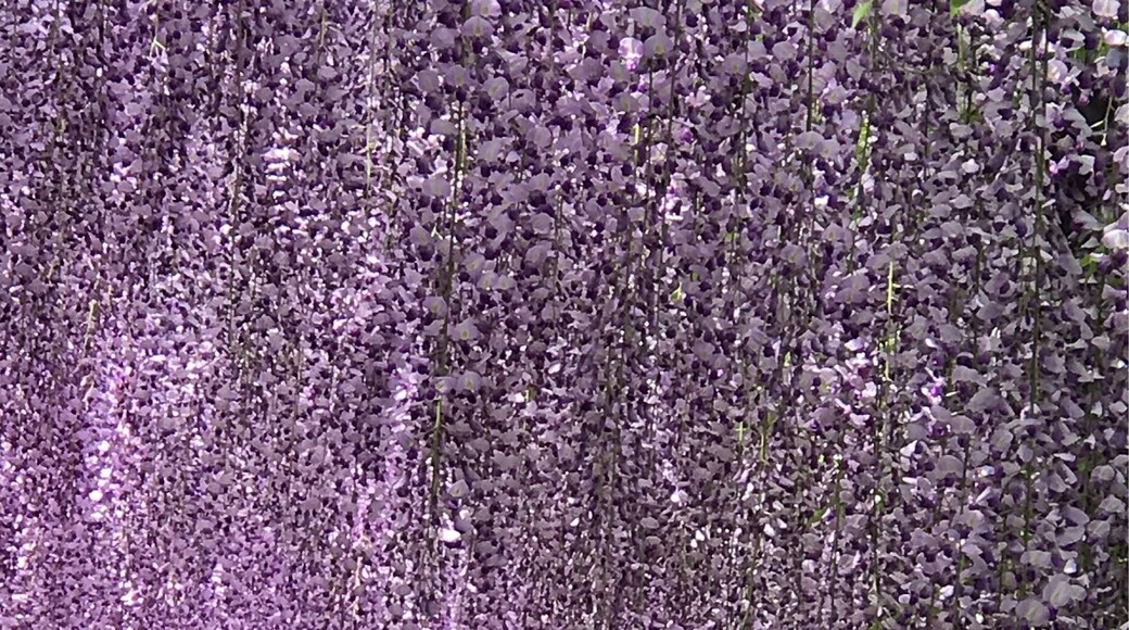 U have to see it to believe it!