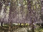 Kawachi Wisteria Garden is absolutely stunning!
Ensure to check the blooming period before heading there as the Wisterias only bloom on a certain week usually in early May.
#LifeAtExpedia