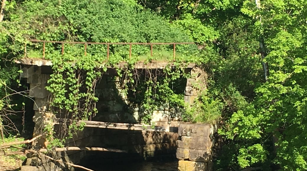 This is what is left of an old grind mill that burned down in the late 1800’s. The wheel sat under it. The river once wrapped around an island prior to redirection, thus Peninsula. While there - ride the train! #culture photo contest
