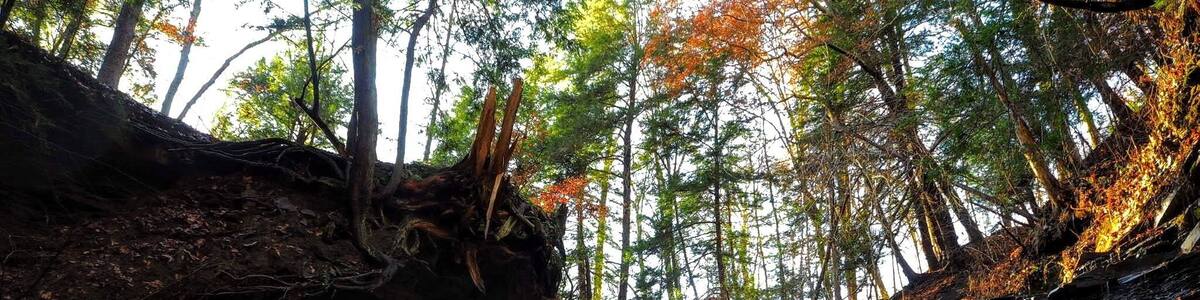Keep on hiking past Blue Hen Falls, zig zag the creek a few times and you'll arrive at Buttermilk Falls.