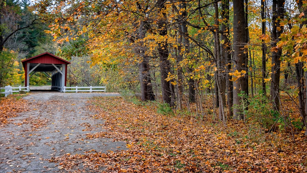 Un pont couvert, situé dans une forêt où les feuilles d’automne jonchent le sol.