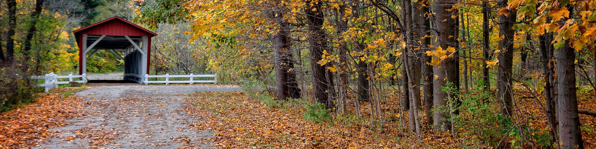 Looking out at the beautiful fall colors from the inside of the Everett Road Covered Bridge in the Cuyahoga Valley National Park in Ohio.