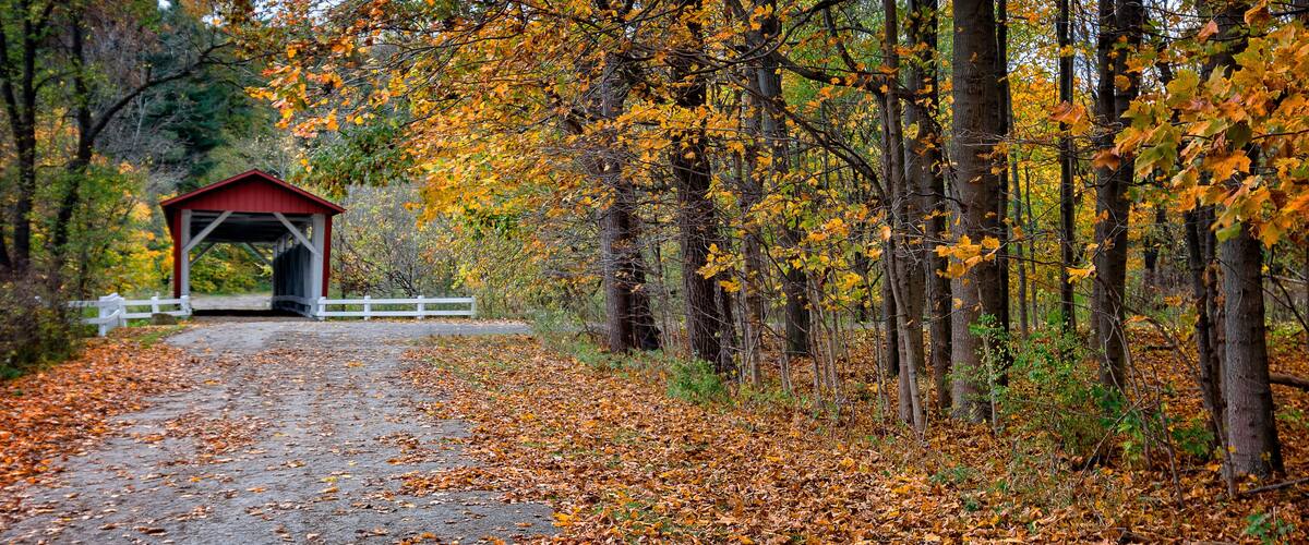 A covered bridge in a forest with autumn leaves.