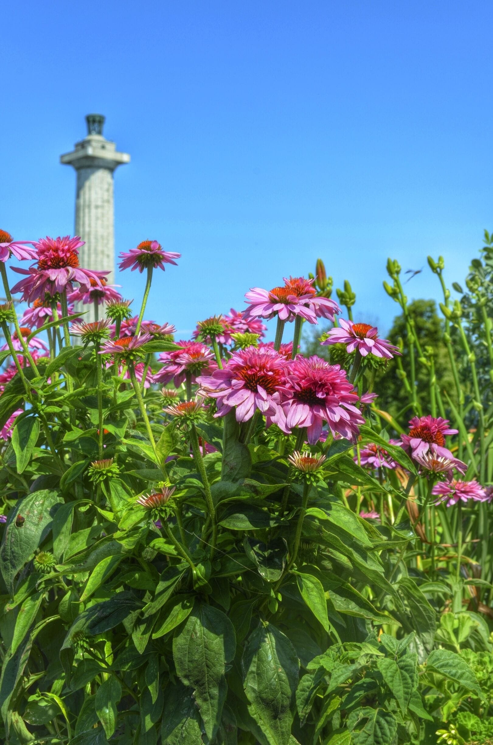 The 3rd tallest memorial structure in the country, Perry's International Peace Memorial stands at 452ft on South Bass Island in Put-in-Bay.  Memorializing Commodore Oliver Hazard Perry and his crew for their victory in the 1813 Battle of Lake Erie, the lookout deck is open from around May - October. #NationalPark #Ohio 
