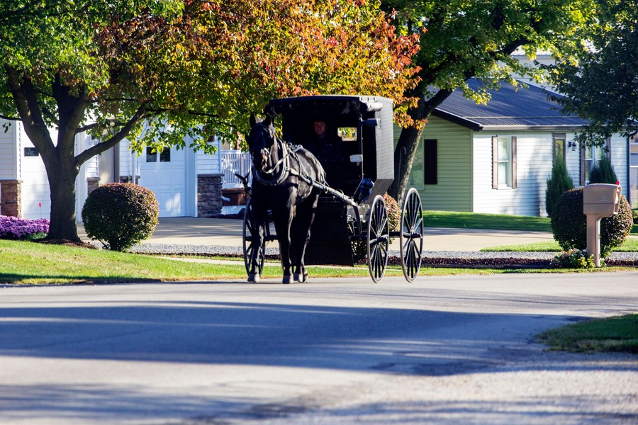 Amish Buggy Moving Along a Town Street, Sugarcreek, Ohio