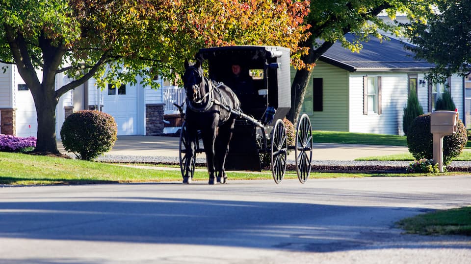 A horse-drawn carriage on a residential street with houses and trees.