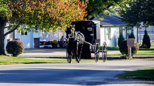 ์๊ฑฐํฌ๋ฆฌํฌ