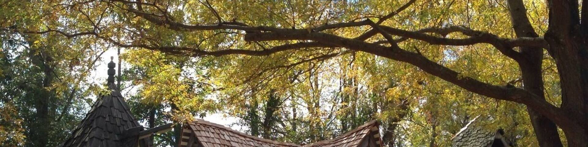 The Ohio Renaissance Festival is open on weekends in September and October and is a really fun way to spend a day! There are heaps of neat shops and different busker-type performances and musicians and you can drink mead and eat turkey legs. Of course there is jousting and also a human chess match, Harry Potter style! Many weekends are themed too, including a pirate weekend, Oktoberfest, and Celtic weekend.
