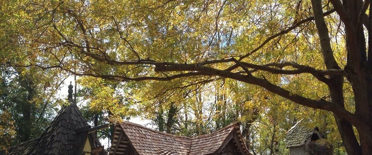 The Ohio Renaissance Festival is open on weekends in September and October and is a really fun way to spend a day! There are heaps of neat shops and different busker-type performances and musicians and you can drink mead and eat turkey legs. Of course there is jousting and also a human chess match, Harry Potter style! Many weekends are themed too, including a pirate weekend, Oktoberfest, and Celtic weekend.