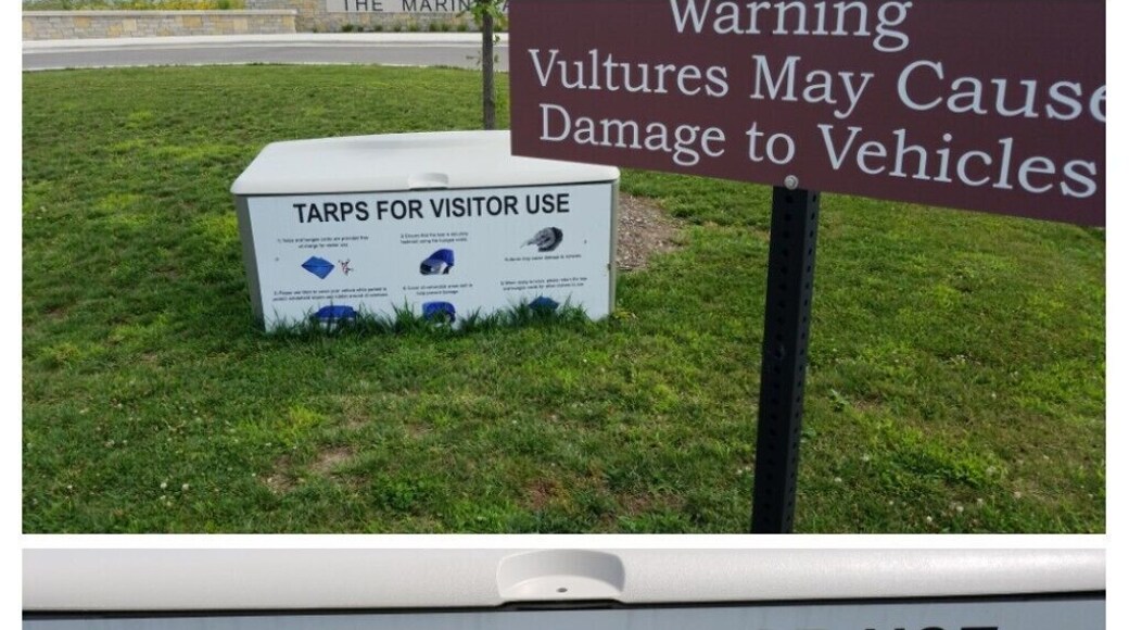 Who knew? But nice of them to provide covers for your vehicle.