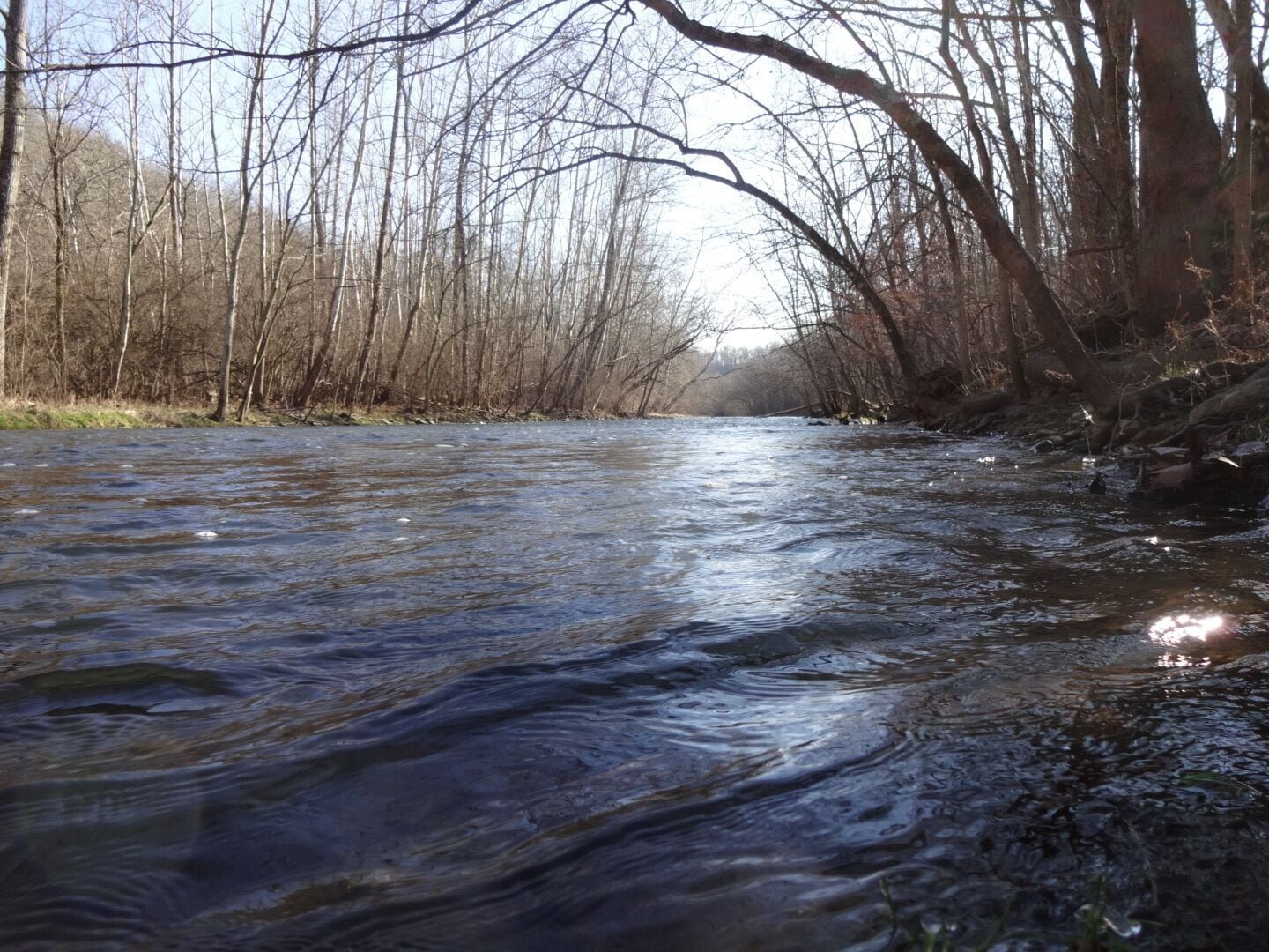 The cold, clear waters of Caesar Creek reflecting glints of the winter sun as it flows through the Ordovician limestone and shale gorge making it way to join the Little Miami State and National Scenic River. 
