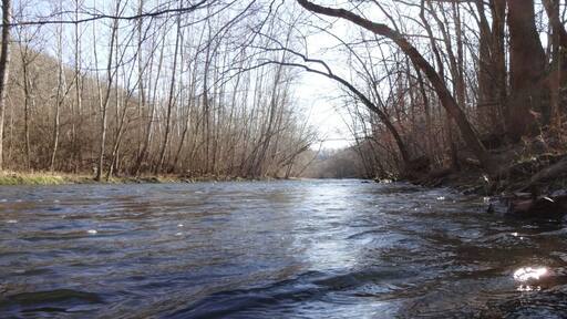 The cold, clear waters of Caesar Creek reflecting glints of the winter sun as it flows through the Ordovician limestone and shale gorge making it way to join the Little Miami State and National Scenic River.