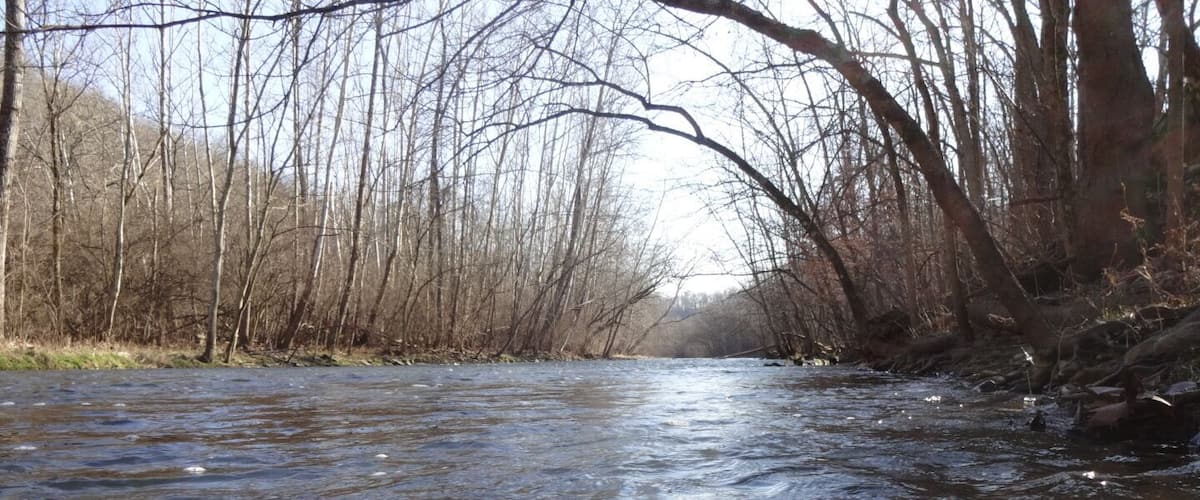 A river flowing through a forest with bare trees and sunlight reflecting on the water.