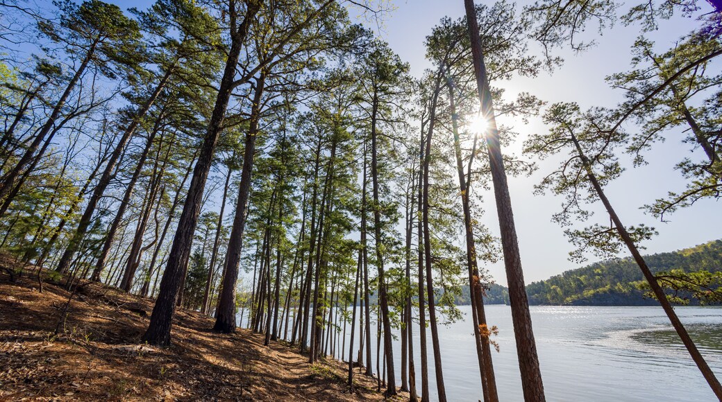 Sunny view of the landscape of Broken Bow Lake in Beavers Bend State Park