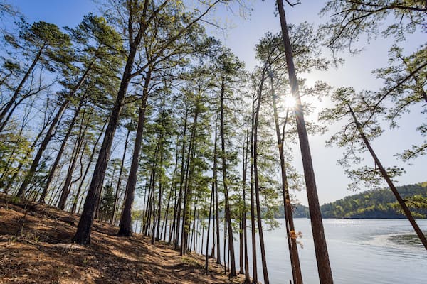 Sunny view of the landscape of Broken Bow Lake in Beavers Bend State Park