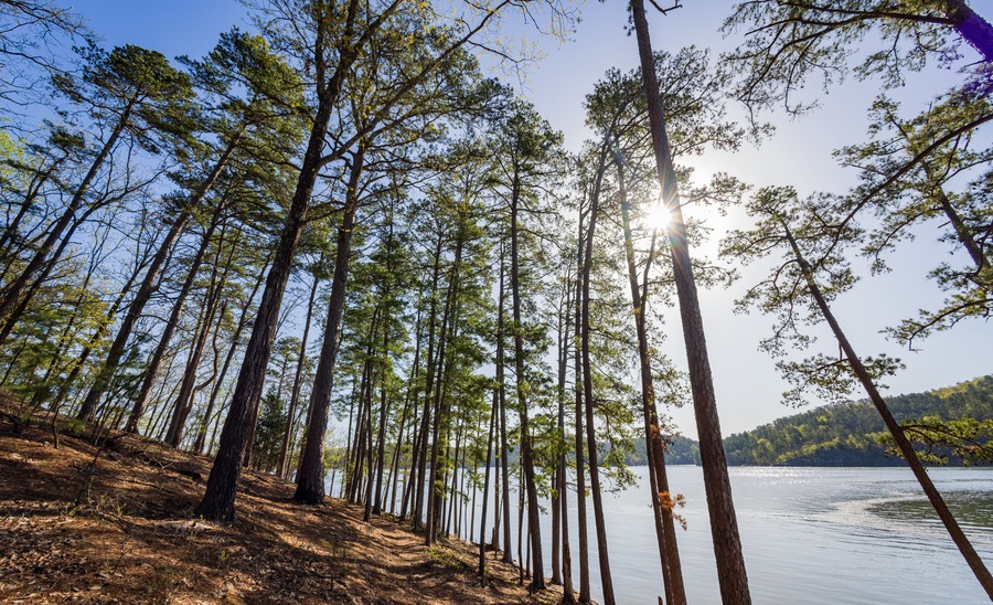 Sunny view of the landscape of Broken Bow Lake in Beavers Bend State Park