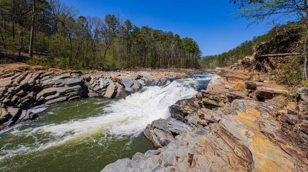 Sunny view of the landscape of Friends Trail Loop Trail in Beavers Bend State Park
