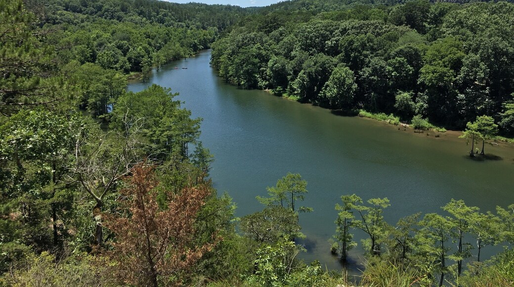 At the top of the cedar bluff trail overlooking the lower mountain fork river. Easy 1.5 mile hike loop.