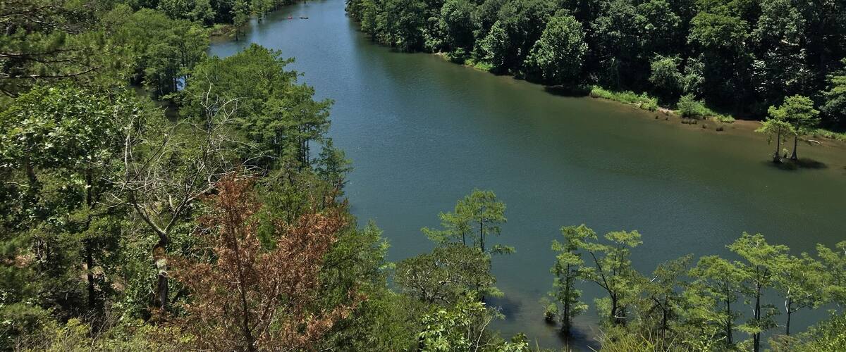 At the top of the cedar bluff trail overlooking the lower mountain fork river. Easy 1.5 mile hike loop.