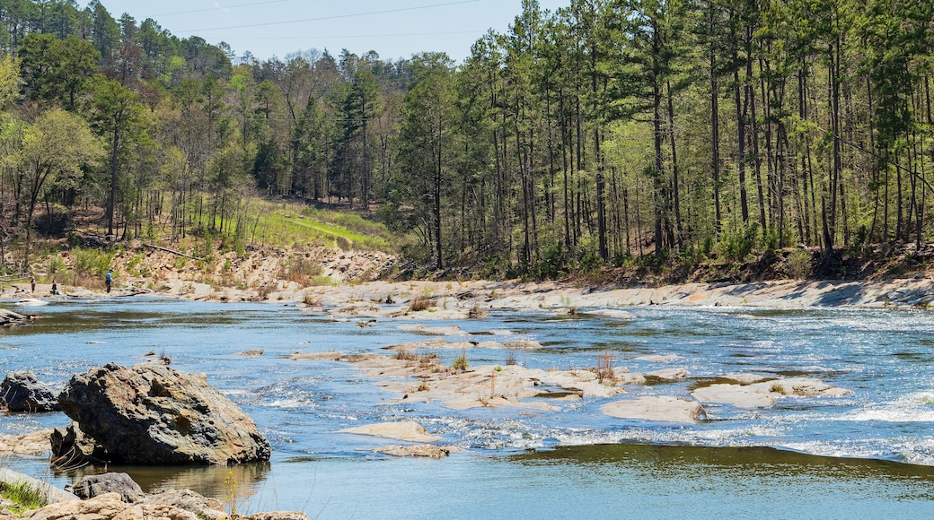 Sunny view of the landscape of Friends Trail Loop Trail in Beavers Bend State Park