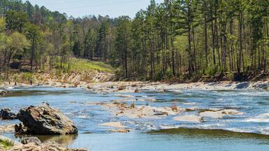 Sunny view of the landscape of Friends Trail Loop Trail in Beavers Bend State Park