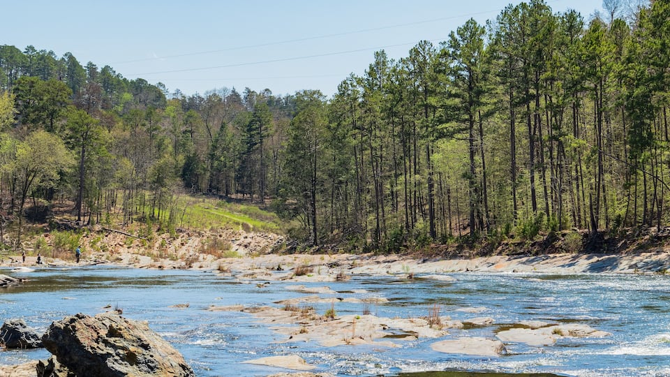 A river with rocks and trees in the background.
