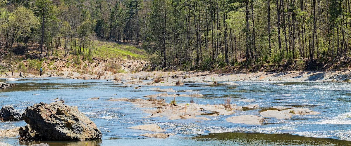Sunny view of the landscape of Friends Trail Loop Trail in Beavers Bend State Park
