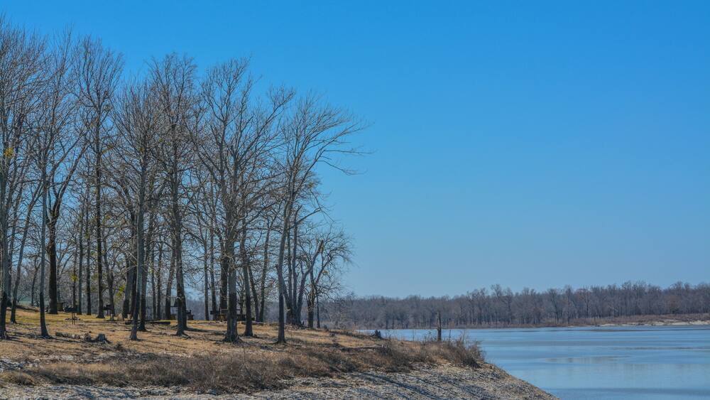 Une rive oĂč sâĂ©tendent des arbres sans feuilles, sous un ciel bleu et dĂ©gagĂ©.